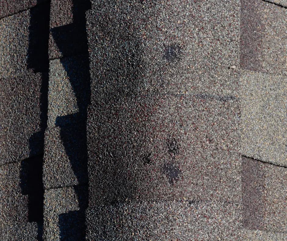 Hail damage inspection